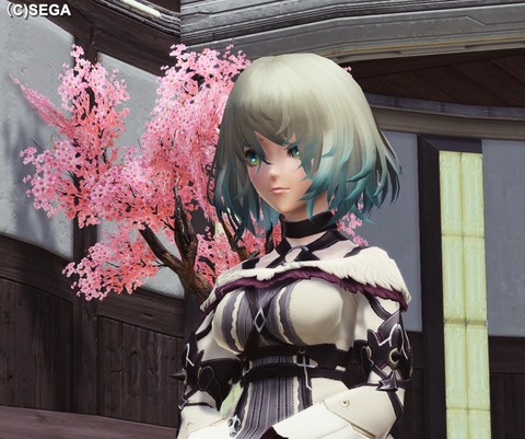 終末感が頭をもたげてきた じるるの森