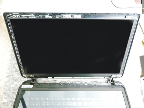 DSCN0695