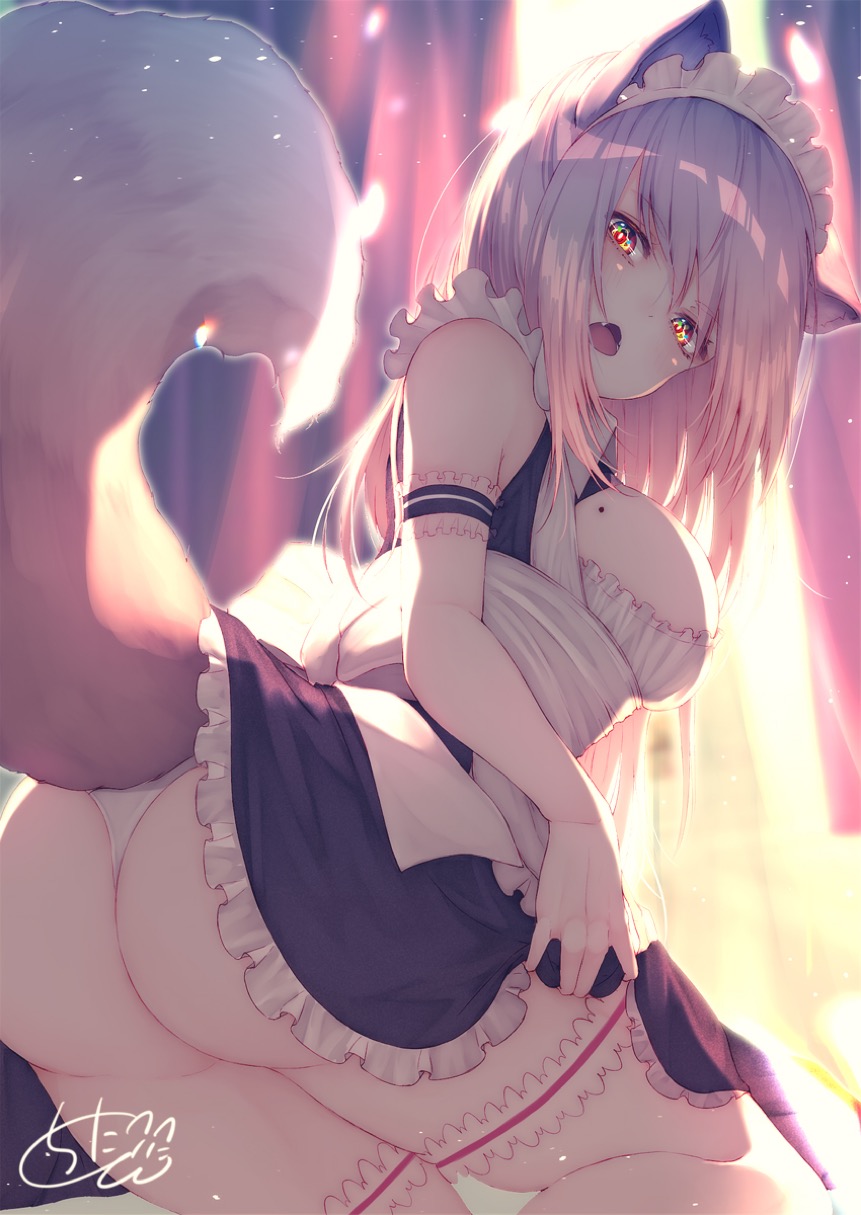 Neko Puss