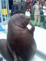 ���ä���١�