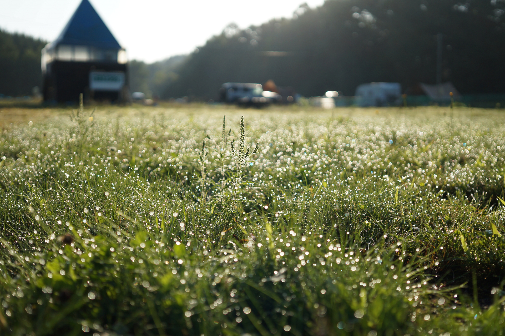 機材ノート】SIGMA 30mm F2.8 DN│Art : ヌルカメラ！