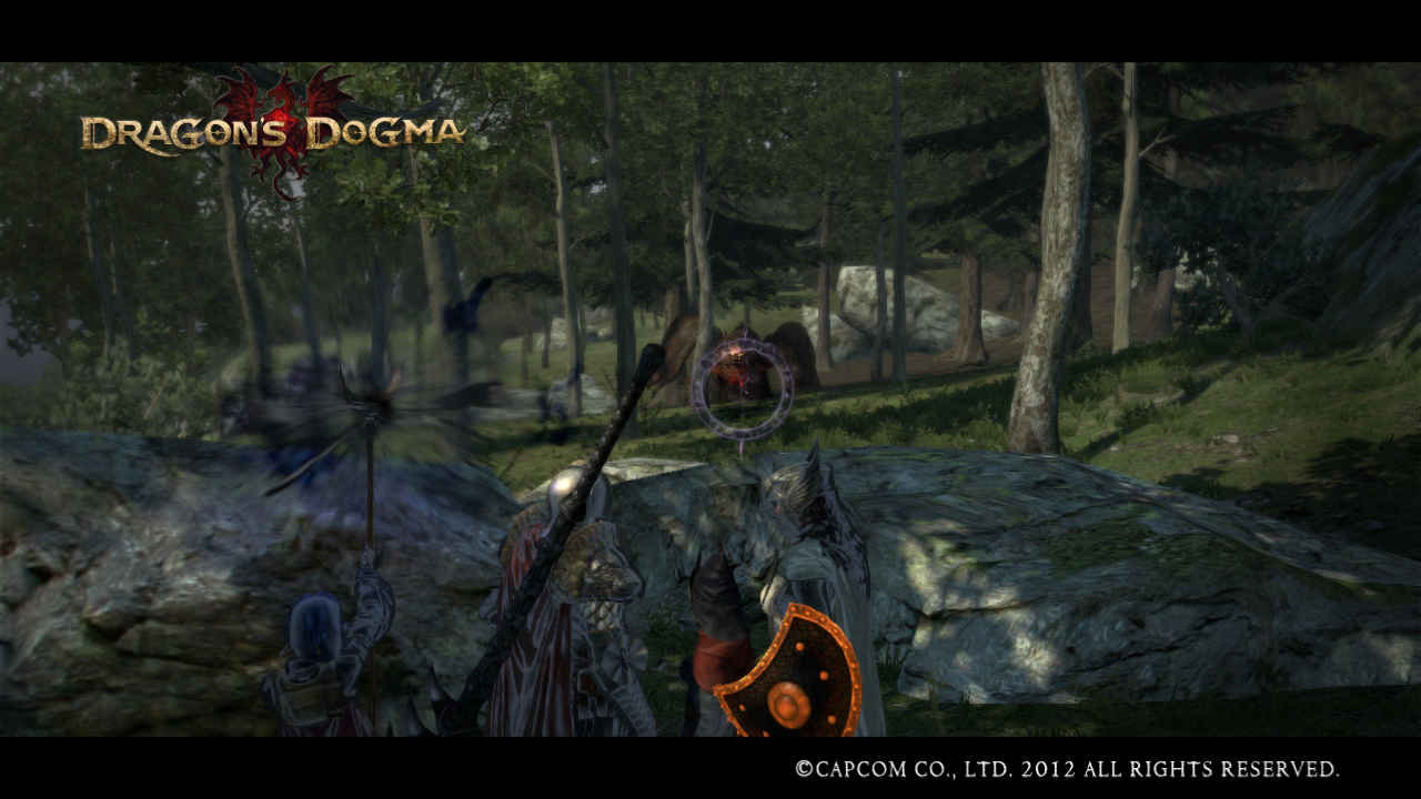 ドラゴンズドグマ ドレイクで稼いでいた 米が炊けた ドラゴンズドグマ ドレイクで稼いでいた 米が炊けた