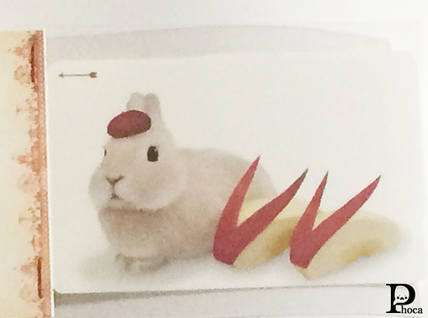 うさみみりんご