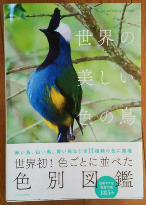 鳥の本00