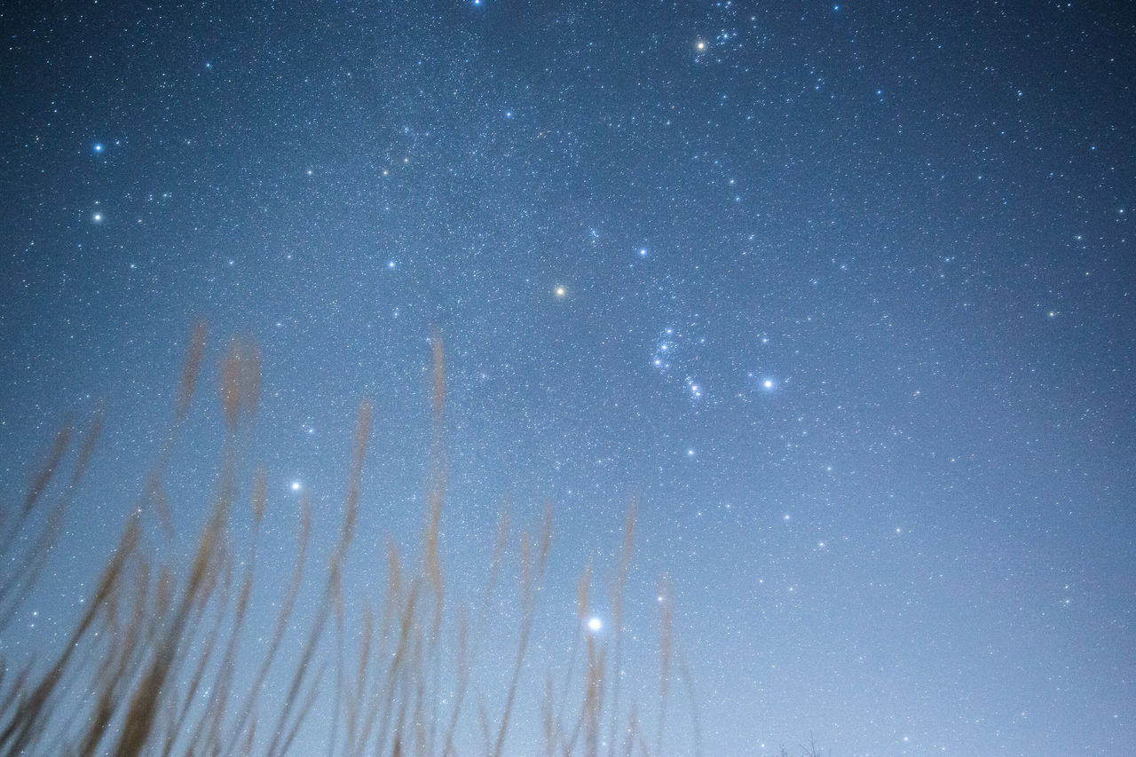 天体写真 山中湖パノラマ台から富士山とオリオン座 カタリナ彗星 カメラと星景写真の日々