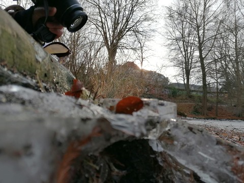 IMG-20211228-WA0006