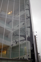 081116��ѥ��������ϥӥ�����