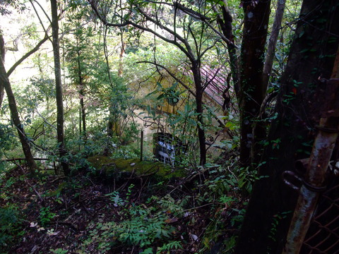 もしかしてその家具はカタリーナのものだったのでしょうか? (出典: Messy Nessy/複製)