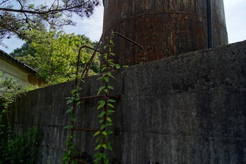 楽しくてとてもクリエイティブな 25 の横断歩道