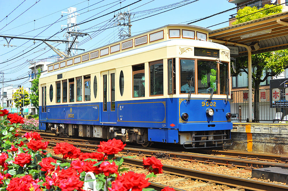 都電荒川線（東京都交通局) 「都電バラ号」9000形9001号車 : 電車