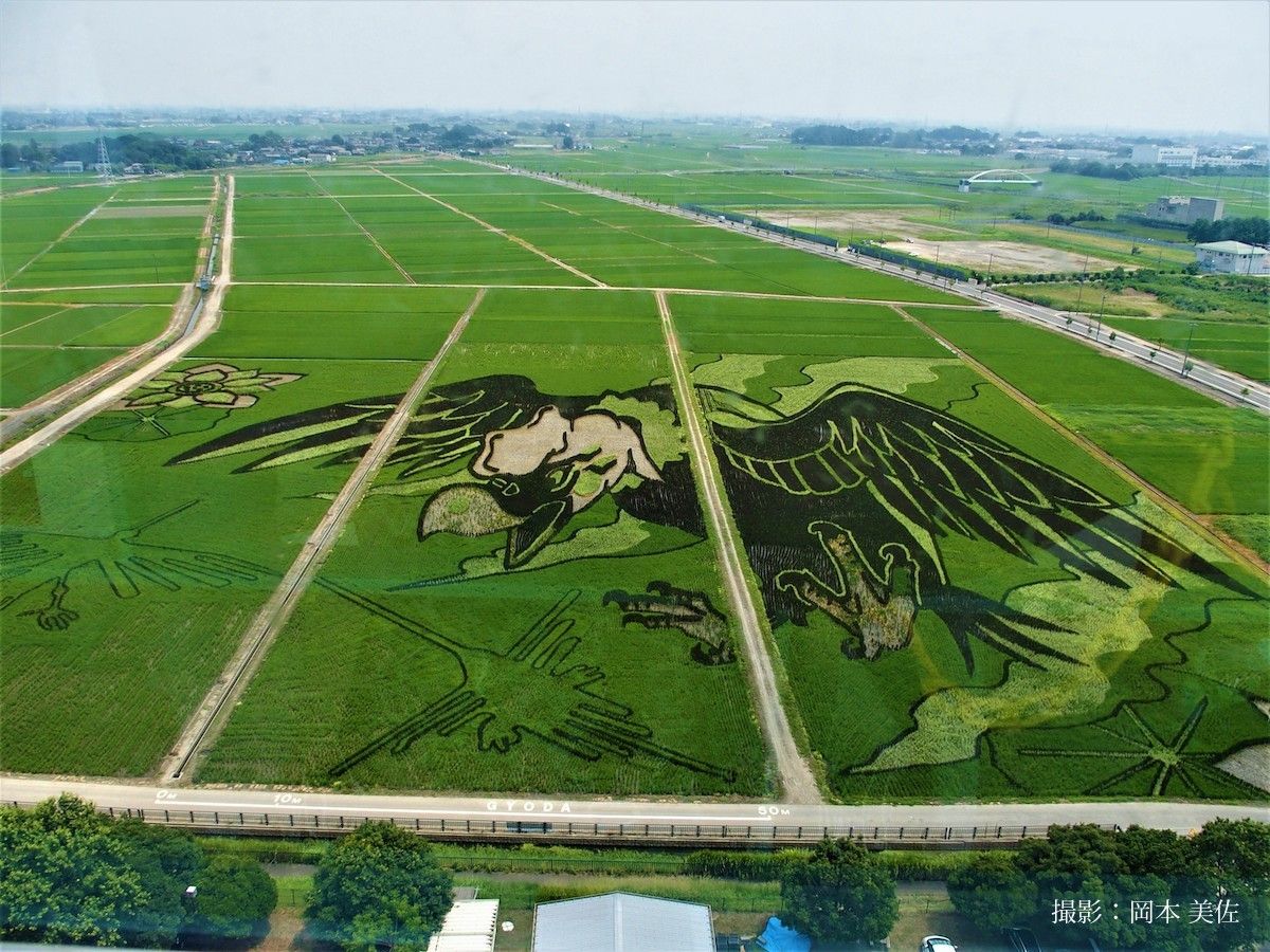 会員 岡本 美佐 撮影 Npo法人 神奈川写真会 活動ブログ