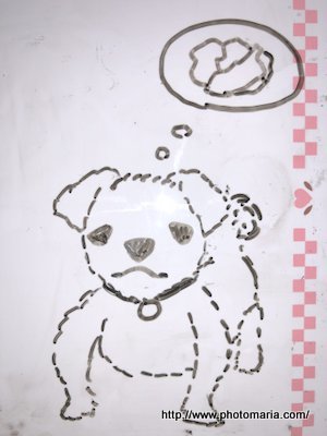 c0a2e2d8.jpg