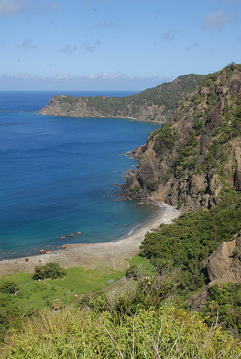 兄島とは 湘南むし日記 兄島とは 湘南むし日記