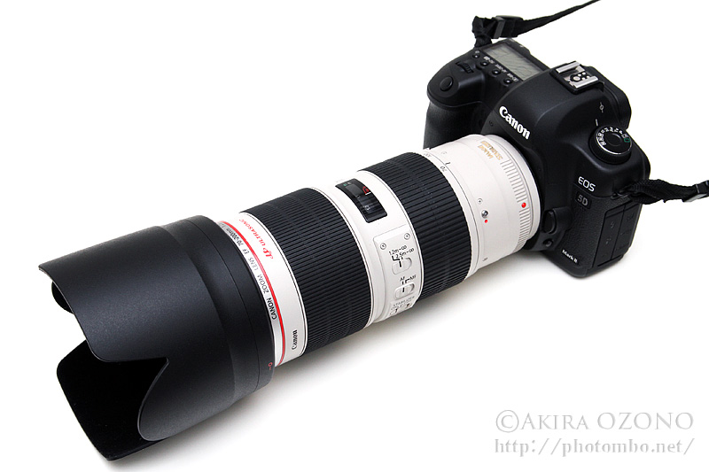 Canon EOS 5D mark2+ EF 70-300mmレンズ