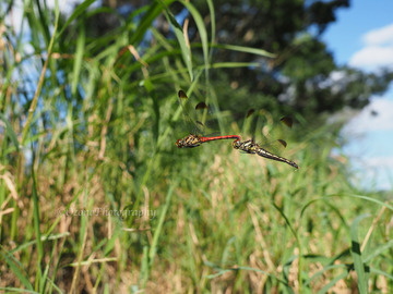 P9210660