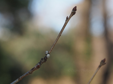 P1160174