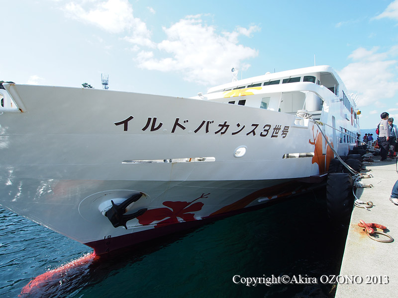 初島で虫を撮る : 湘南むし日記