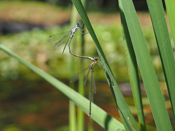 P9264677