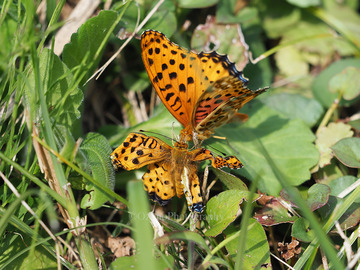 PB080550