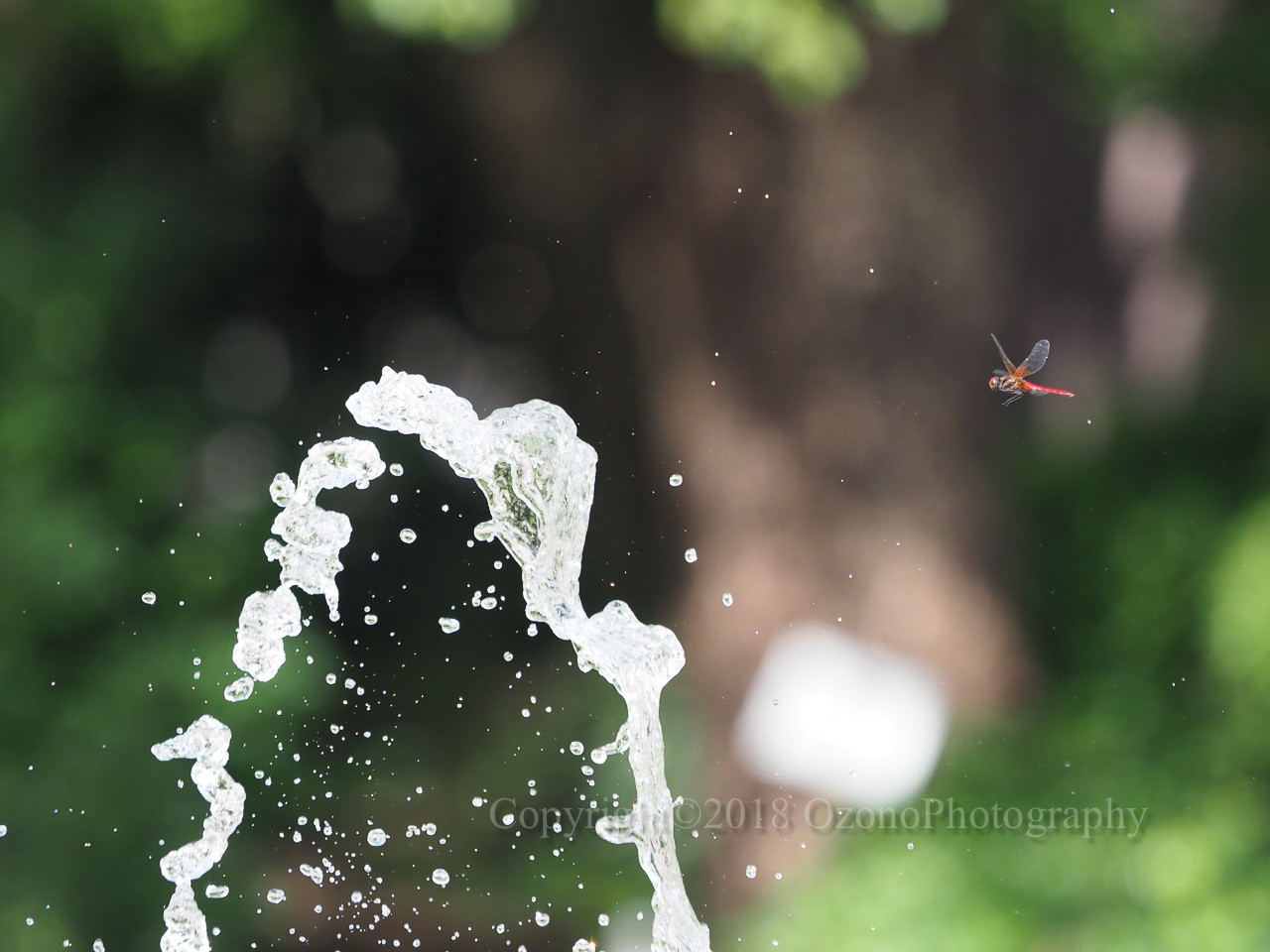 空き時間 : 湘南むし日記