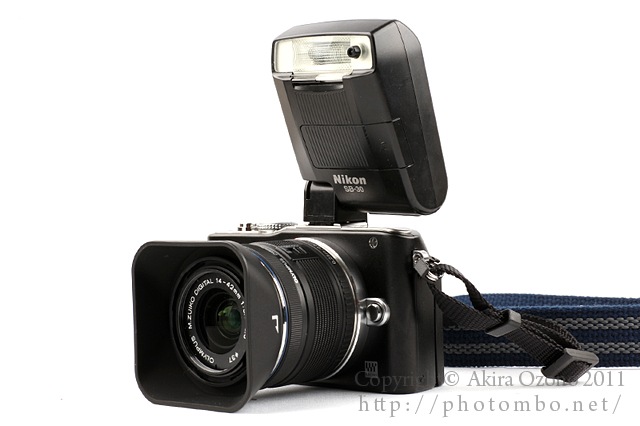 PENを使いやすく : 湘南むし日記