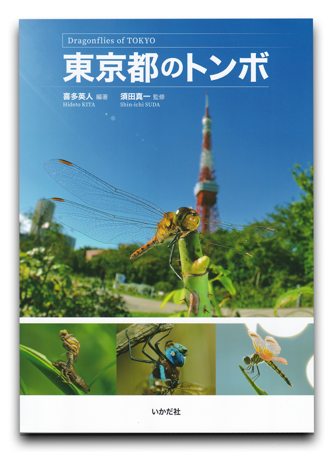 キャンバスに絵を描くトンボ 家の装飾 美しい芸術的な壁のポスター Modern Wall Decoration Canvas Painting Modernpainting Modern Aliexpress トンボiポスター Vladatk Gov Ba