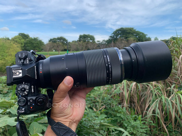 オリンパスの新レンズ 100-400mm F5.0-6.3 IS で虫を撮る : 湘南 オリンパスの新レンズ 100-400mm F5.0-6.3 IS で虫を撮る : 湘南