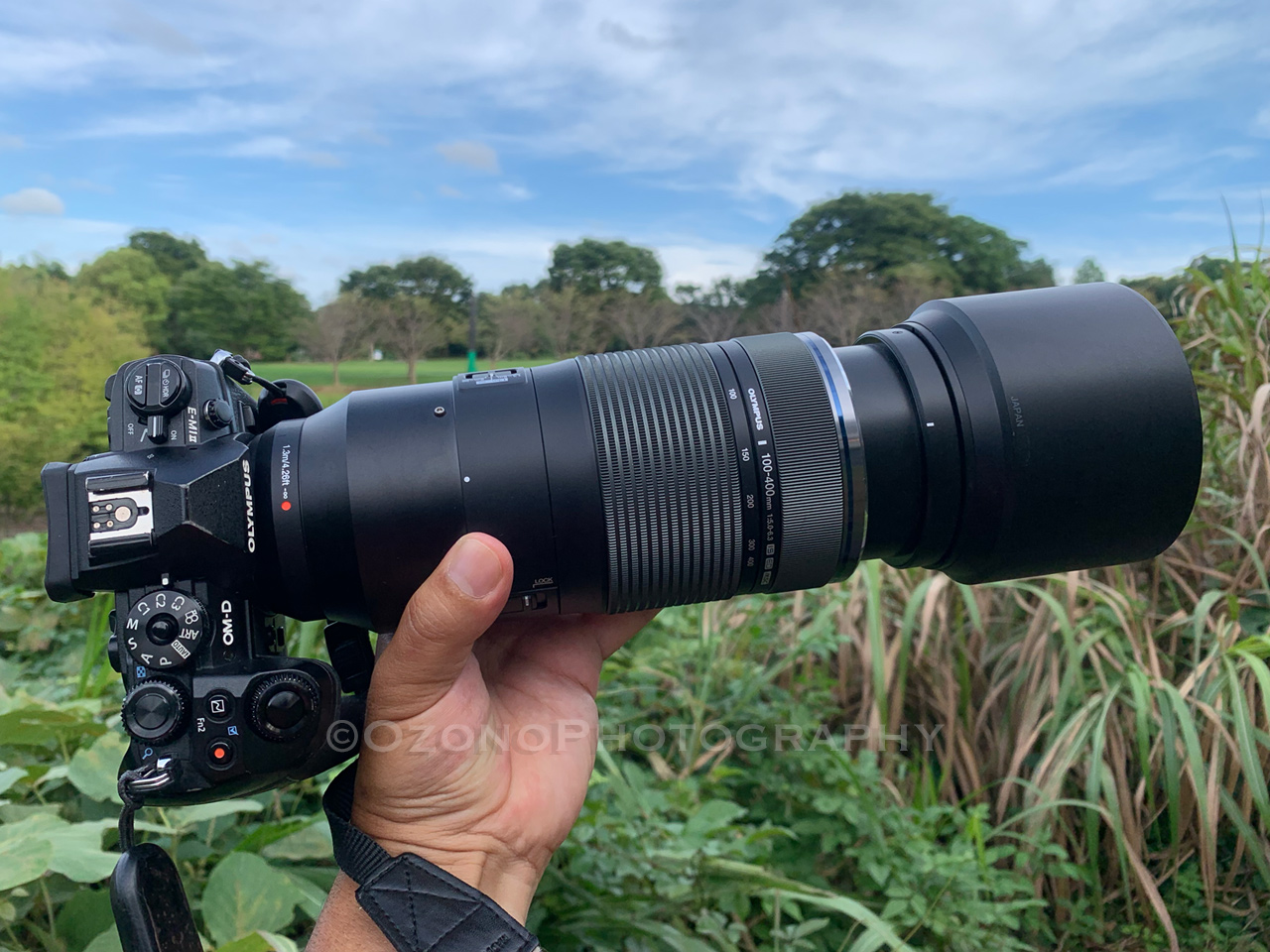 オリンパスの新レンズ 100-400mm F5.0-6.3 IS で虫を撮る : 湘南むし日記
