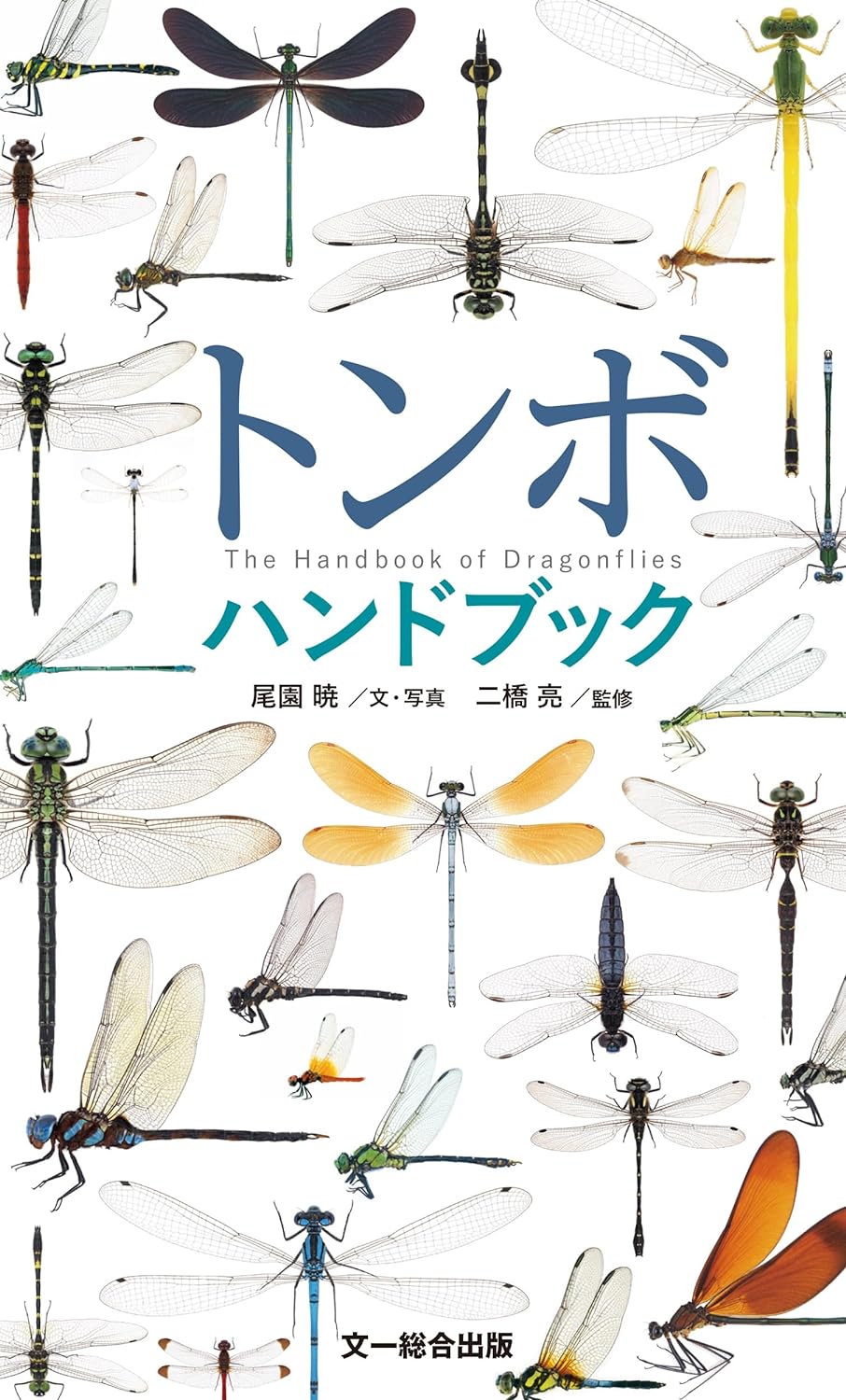 トンボハンドブック 本日発売！ : 湘南むし日記