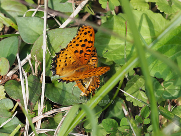 PB080563