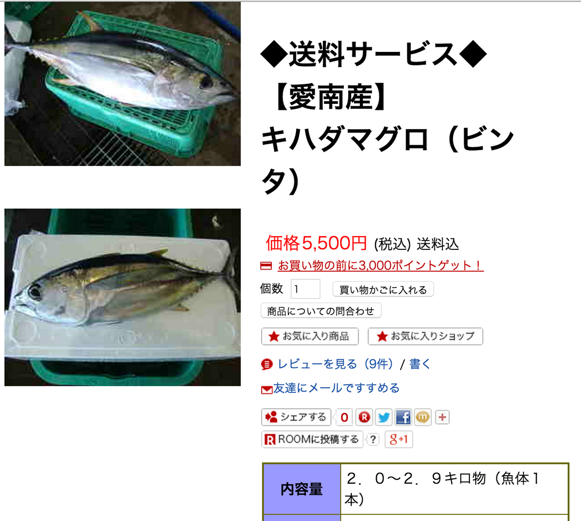 フィリピンのマグロの首都 ジェネラル サントスにマグロ釣りに行った結果その2 きづきくみたて日記 フィリピンのマグロの首都 ジェネラル サントスにマグロ釣りに行った結果その2 きづきくみたて日記