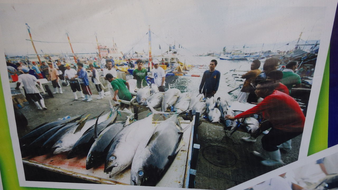 フィリピンのマグロの首都 ジェネラル サントスにマグロ釣りに行った結果その2 きづきくみたて日記 フィリピンのマグロの首都 ジェネラル サントスにマグロ釣りに行った結果その2 きづきくみたて日記