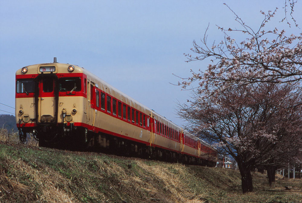 12系 急行 白兎（ツアー）」の投稿写真（1枚目） - 鉄道コム