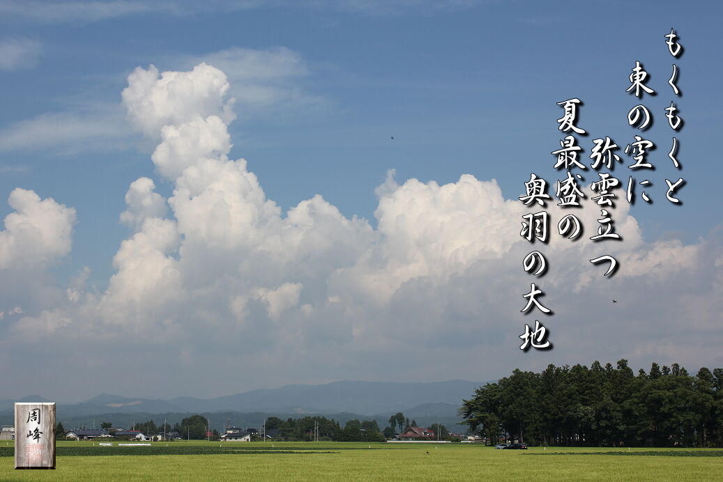 イメージ 1