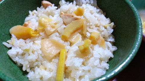 takenokogohan