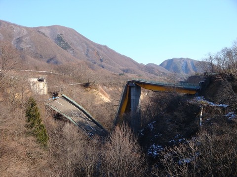 saigai7