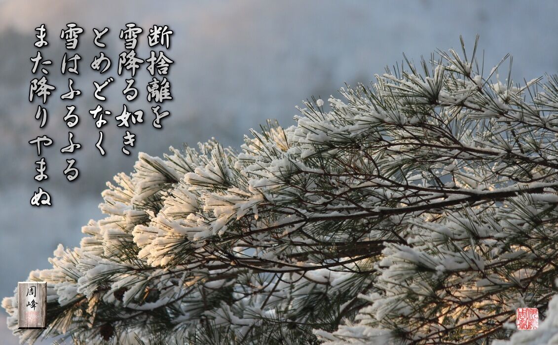 比爪と藤原氏について : フォト短歌游々日記