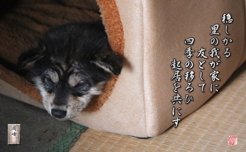 benkenyuki