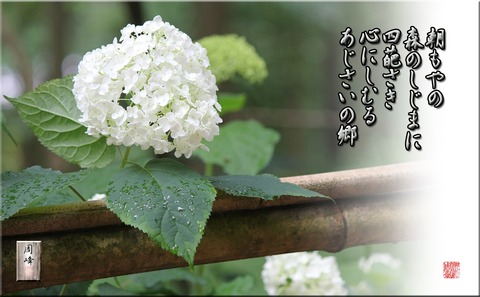 yohirasakanya