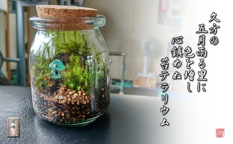 koketera