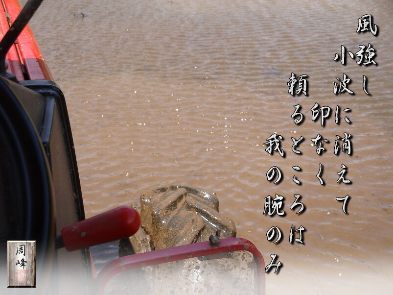 イメージ 1