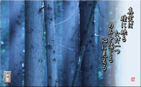 shinjitu
