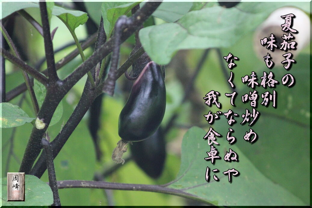 イメージ 1