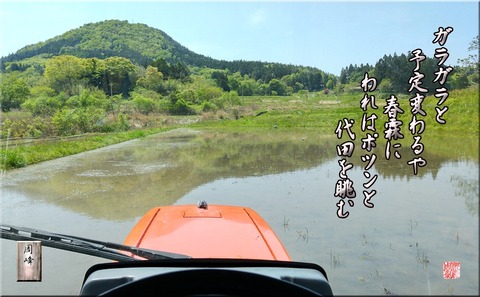 sitotawonagamu