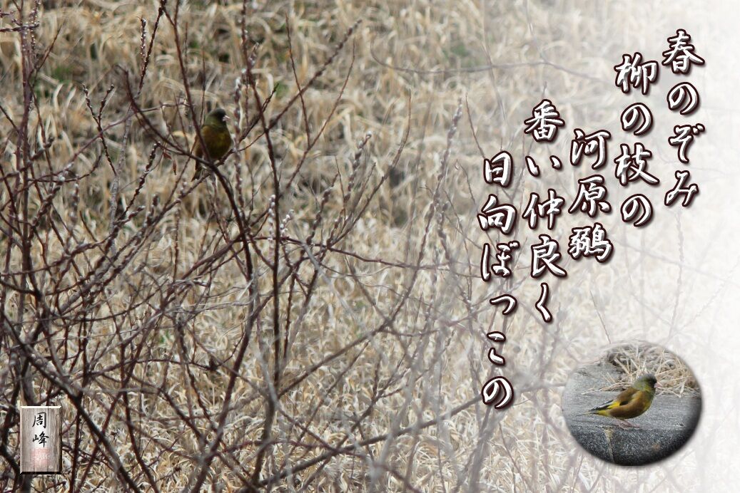 イメージ 1