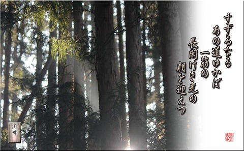 anomichi