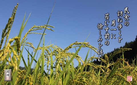 kokemusumaenotanoshimi