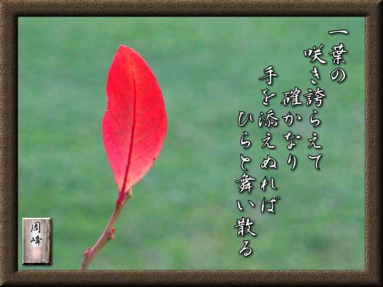 イメージ 1