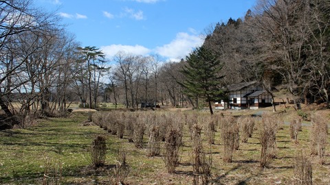 niwa