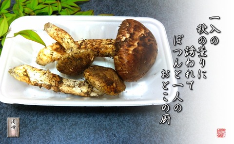 akinokaori